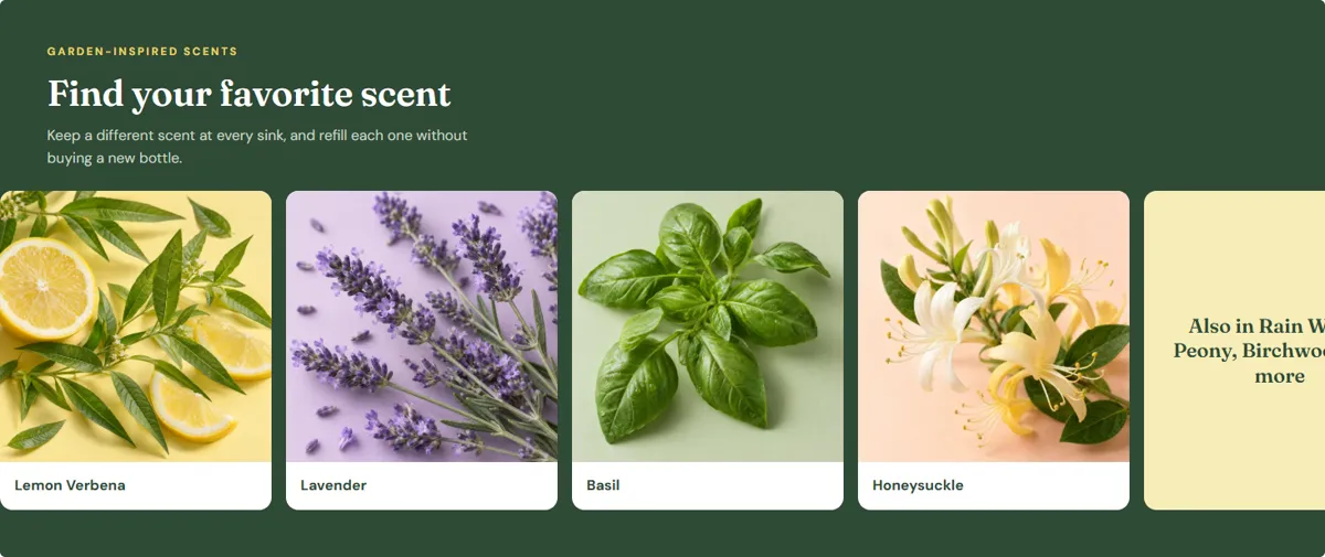 Scent Carousel module from the Mrs. Meyer's Clean Day sample Premium A+ page